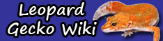 LGW234x60 Leopard Gecko Wiki Banner
