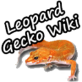 LGWlogo.png