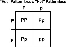 this shows the breakdown of "het" patternless x "het" patternless. this would be f2.