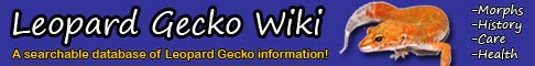 <a href="http://leopardgeckowiki.com" target="_blank"><img src="http://leopardgeckowiki.com/share/lgw486x60.jpg" alt="leopard gecko wiki" width="486" height="60" border="0" /></a>